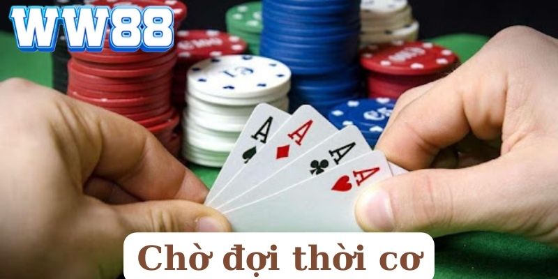 Chờ đợi thời cơ là điều quan trọng