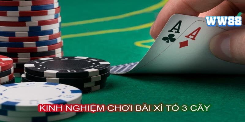 Kinh nghiệm chơi bài tố ba lá từ các cao thủ cá cược