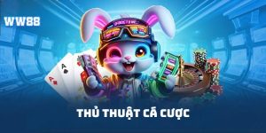 Thủ thuật cá cược WW88 tuyệt đỉnh nâng cao tỷ lệ thắng