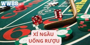 Cách Chơi Xí Ngầu Uống Rượu – Trải Nghiệm Độc Đáo Và Hấp Dẫn